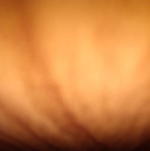 Meet your Posher, Wayne